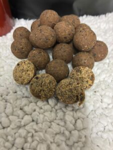 Scopex Squid Bottom Baits
